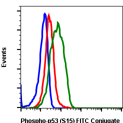 Phospho-p53 (Ser15) (Clone: 1C11) rabbit mAb FITC conjugate