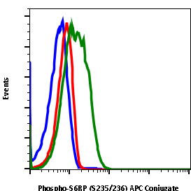 Phospho-S6 Ribosomal Protein (Ser235/236) (Clone: R3A2) rabbit mAb APC conjugate