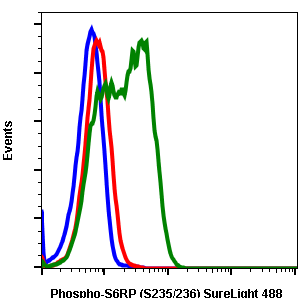 Phospho-S6 Ribosomal Protein (Ser235/236) (Clone: R3A2) rabbit mAb SureLight488 conjugate