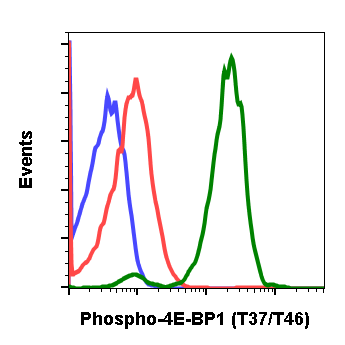 Phospho-4E-BP1 (Thr37/46) (Clone: A5) rabbit mAb