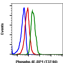 Phospho-4E-BP1 (Thr37/46) (Clone: A5) rabbit mAb PE conjugate