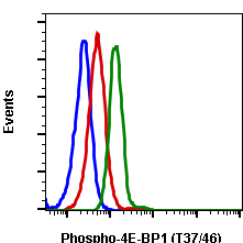 Phospho-4E-BP1 (Thr37/46) (Clone: A5) rabbit mAb SureLight 488 conjugate