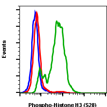 Phospho-Histone H3 (Ser28) (Clone: D6) rabbit mAb FITC conjugate