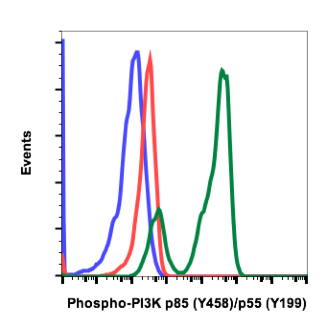 Phospho-PI3 Kinase p85 (Tyr458)/p55 (Tyr199) (Clone: 1A11) rabbit mAb