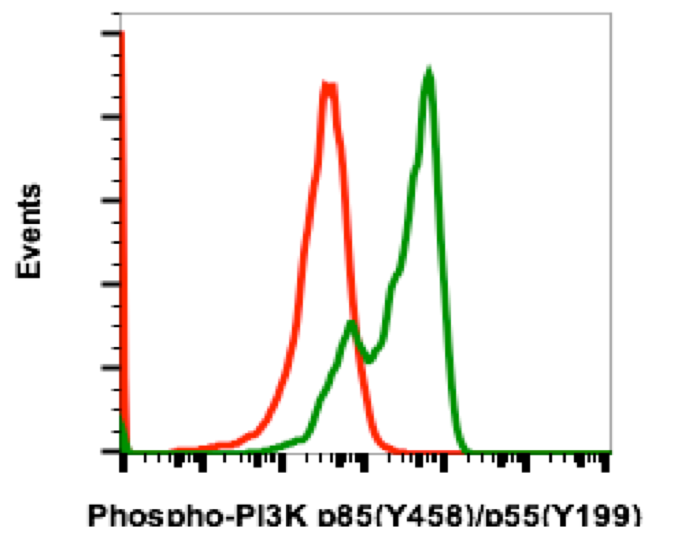 Phospho-PI3 Kinase p85 (Tyr458)/p55 (Tyr199) (Clone: 1A11) rabbit mAb FITC conjugate