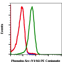 Phospho-Src (Tyr416) rabbit mAb PE conjugate