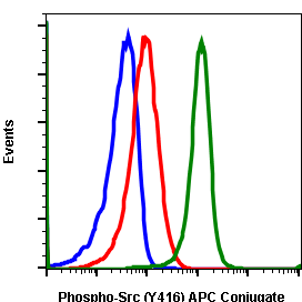 Phospho-Src (Tyr416) (Clone: C4) rabbit mAb APC conjugate