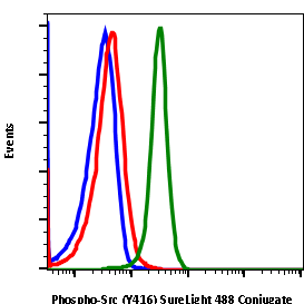 Phospho-Src (Tyr416) (Clone: C4) rabbit mAb SureLight488 conjugate