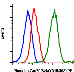 Phospho-Zap70 (Tyr319)/Syk (Tyr352) (Clone: A3) rabbit mAb PE conjugate