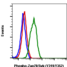 Phospho-Zap70 (Tyr319)/Syk (Tyr352) (Clone: A3) rabbit mAb SureLight 488 conjugate