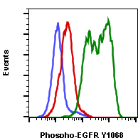 Phospho-EGFR (Tyr1068) (Clone: E5) rabbit mAb PE conjugate