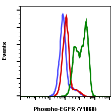 Phospho-EGFR (Tyr1068) (Clone: E5) rabbit mAb APC conjugate