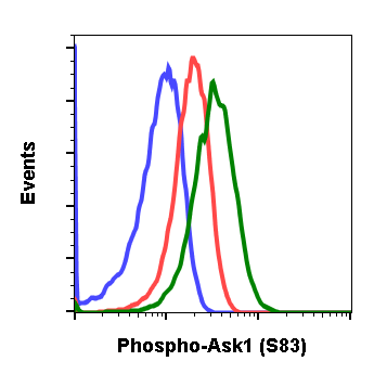 Phospho-Ask1 (Ser83) (Clone: G4) rabbit mAb