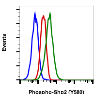 Phospho-Shp2 (Tyr580) (Clone: 4A2) rabbit mAb PE conjugate