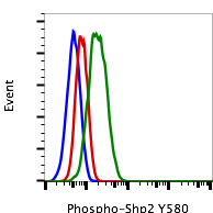 Phospho-Shp2 (Tyr580) (Clone: 4A2) rabbit mAb FITC conjugate