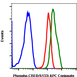 Phospho-CREB (Ser133) (Clone: 4D11) rabbit mAb APC conjugate