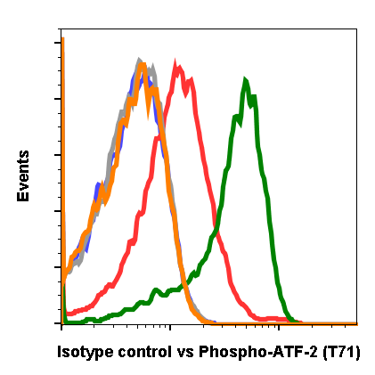 Isotype Control (Clone: G9) rabbit mAb