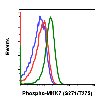 Phospho-MKK7 (Ser271/Thr275) (Clone: R4F9) rabbit mAb