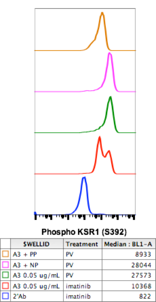 Phospho-KSR1 (Ser392) (Clone: 3A4) rabbit mAb