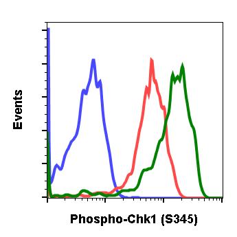 Phospho-Chk1 (Ser345) (Clone: R3F9) rabbit mAb