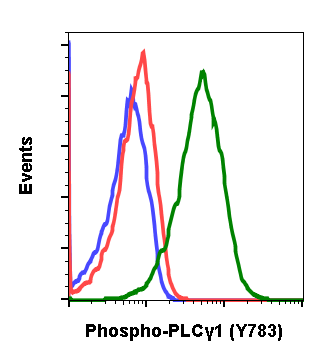 Phospho-PLCg1 (Tyr783) (Clone: C4) rabbit mAb