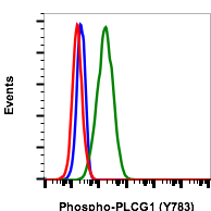 Phospho-PLCg1 (Tyr783) (Clone: C4) rabbit mAb PE conjugate