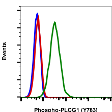 Phospho-PLCg1 (Tyr783) (Clone: C4) rabbit mAb FITC conjugate