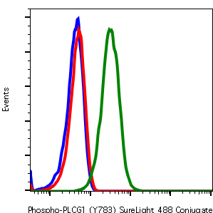 Phospho-PLCg1 (Tyr783) (Clone: C4) rabbit mAb SureLight488 conjugate