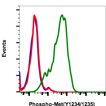 Phospho-MET(Tyr1234/1235) (Clone: 6F11) rabbit mAb FITC conjugate