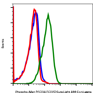 Phospho-MET(Tyr1234/Tyr1235) (Clone: 6F11) rabbit mAb SureLight488 conjugate