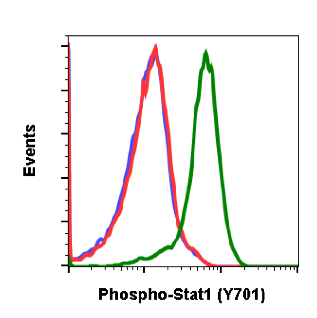 Phospho-Stat1 (Tyr701) (Clone: 3E6) rabbit mAb