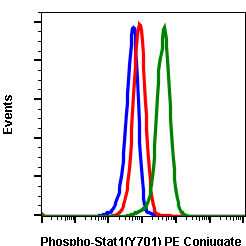 Phospho-Stat1 (Tyr701) (Clone: 3E6) rabbit mAb PE conjugate