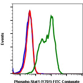 Phospho-Stat1 (Tyr701) (Clone: 3E6) rabbit mAb FITC conjugate