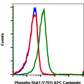 Phospho-Stat1 (Tyr701) (Clone: 3E6) rabbit mAb APC conjugate