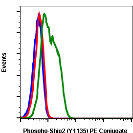 Phospho-Ship2 (Tyr1135) (Clone: 1D2) rabbit mAb PE conjugate