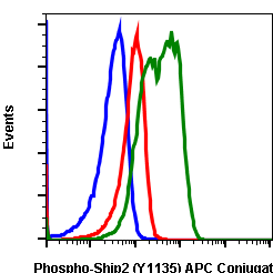 Phospho-Ship2 (Tyr1135) (Clone: 1D2) rabbit mAb APC conjugate