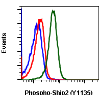 Phospho-Ship2 (Tyr1135) (Clone: 1D2) rabbit mAb SureLight488 conjugate