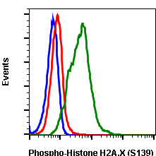 Phospho-Histone H2A.X (Ser139) (Clone: 1E4) rabbit mAb