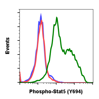 Phospho-Stat5 (Tyr694) (Clone: B5) rabbit mAb