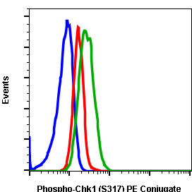 Phospho-Chk1 (Ser317) (Clone: G1) rabbit mAb PE conjugate