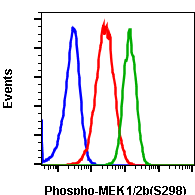 Phospho-MEK1 (Ser298) (Clone: H8) rabbit mAb