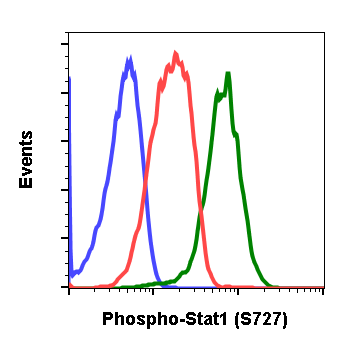 Phospho-Stat1 (Ser727) (Clone: C6) rabbit mAb