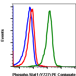 Phospho-Stat1 (Ser727) (Clone: C6) rabbit mAb PE conjugate