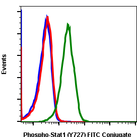 Phospho-Stat1 (Ser727) (Clone: C6) rabbit mAb FITC conjugate