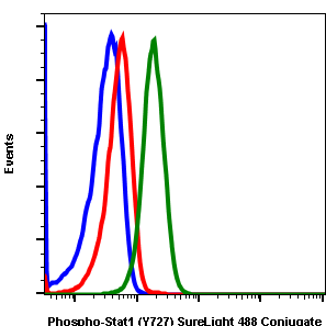 Phospho-Stat1 (Ser727) (Clone: C6) rabbit mAb SureLight488 conjugate