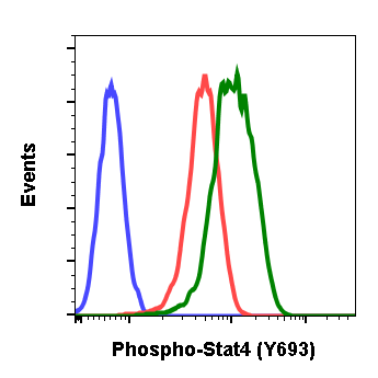 Phospho-Stat4 (Tyr693) (Clone: F6) rabbit mAb