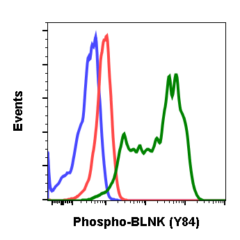 Phospho-BLNK (Tyr84) (Clone: H4) rabbit mAb