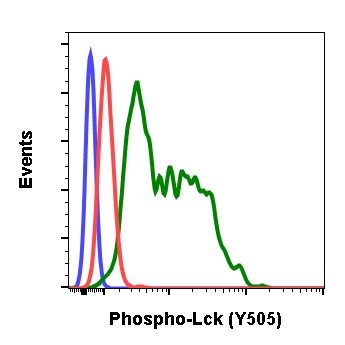 Phospho-Lck (Tyr505) (Clone: A3) rabbit mAb