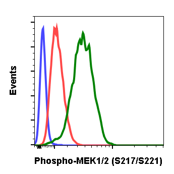 Phospho-MEK1/2 (Ser217/221) (Clone: H2) rabbit mAb