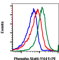 Phospho-Stat6 (Tyr641) (Clone: G12) rabbit mAb PE conjugate